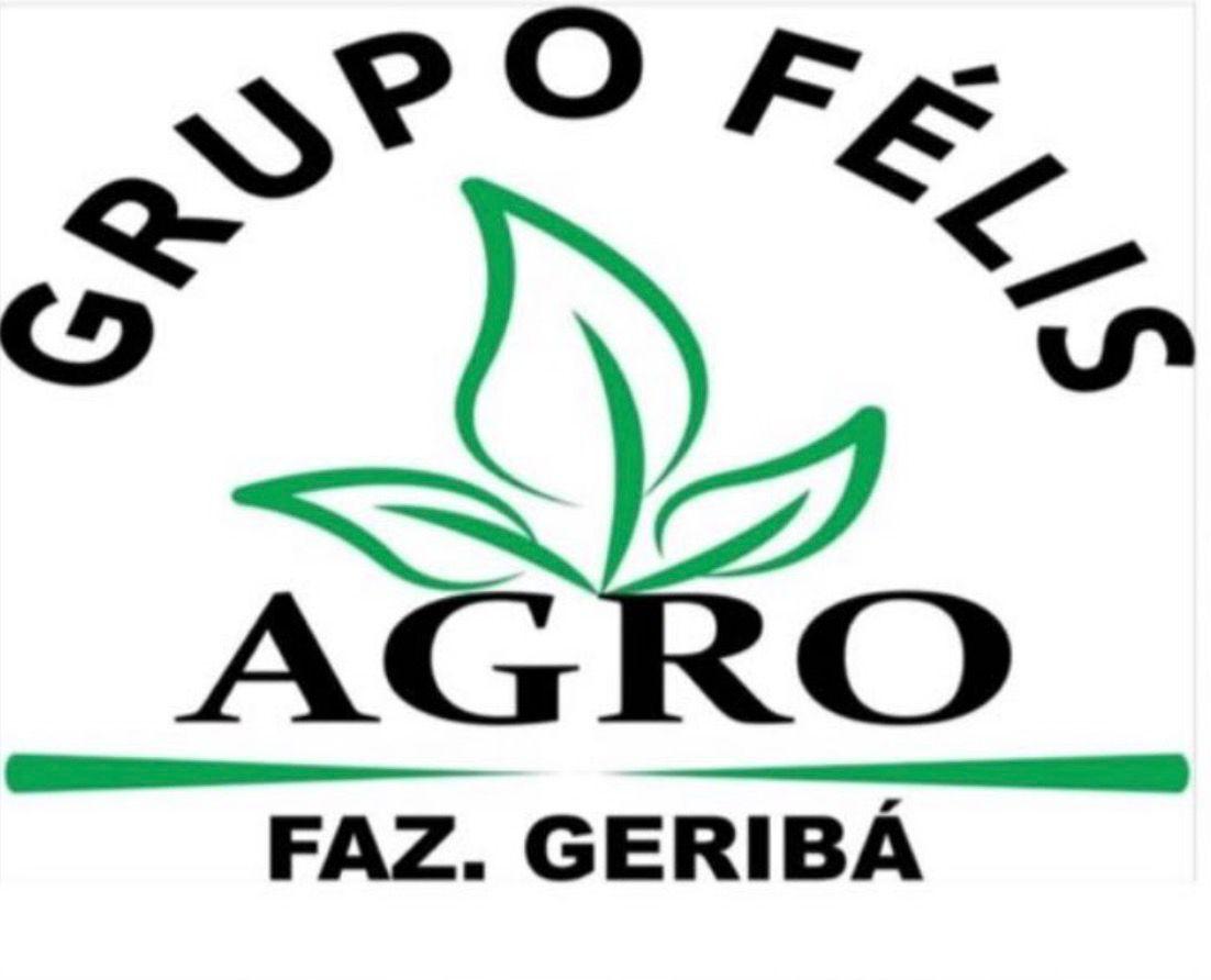 WhatsApp Image 2026-01-15 at 16.27.56 (8)