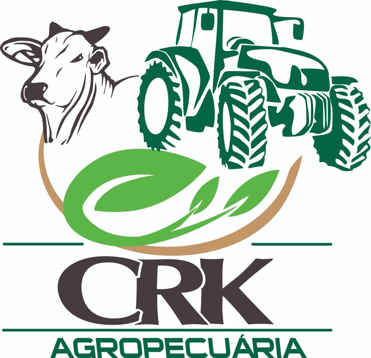 WhatsApp Image 2026-01-15 at 16.27.56